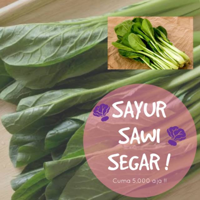 

Sayur Sawi Hijau