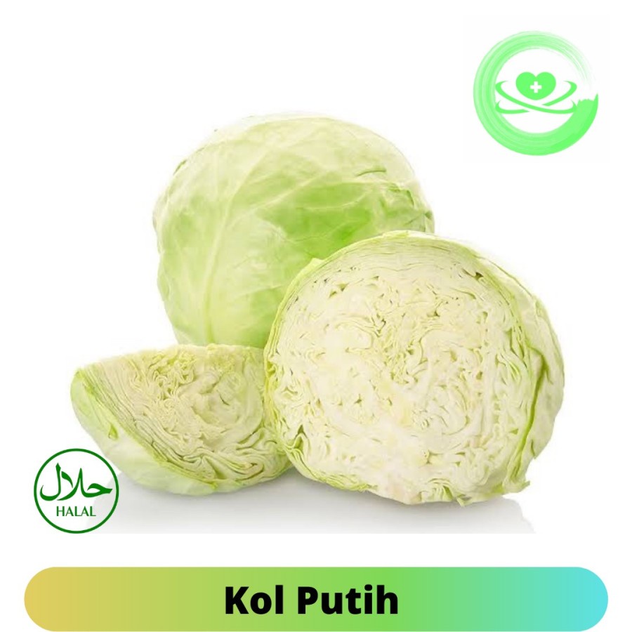 

KOL PUTIH FRESH | SAYUR KOL PUTIH PREMIUM