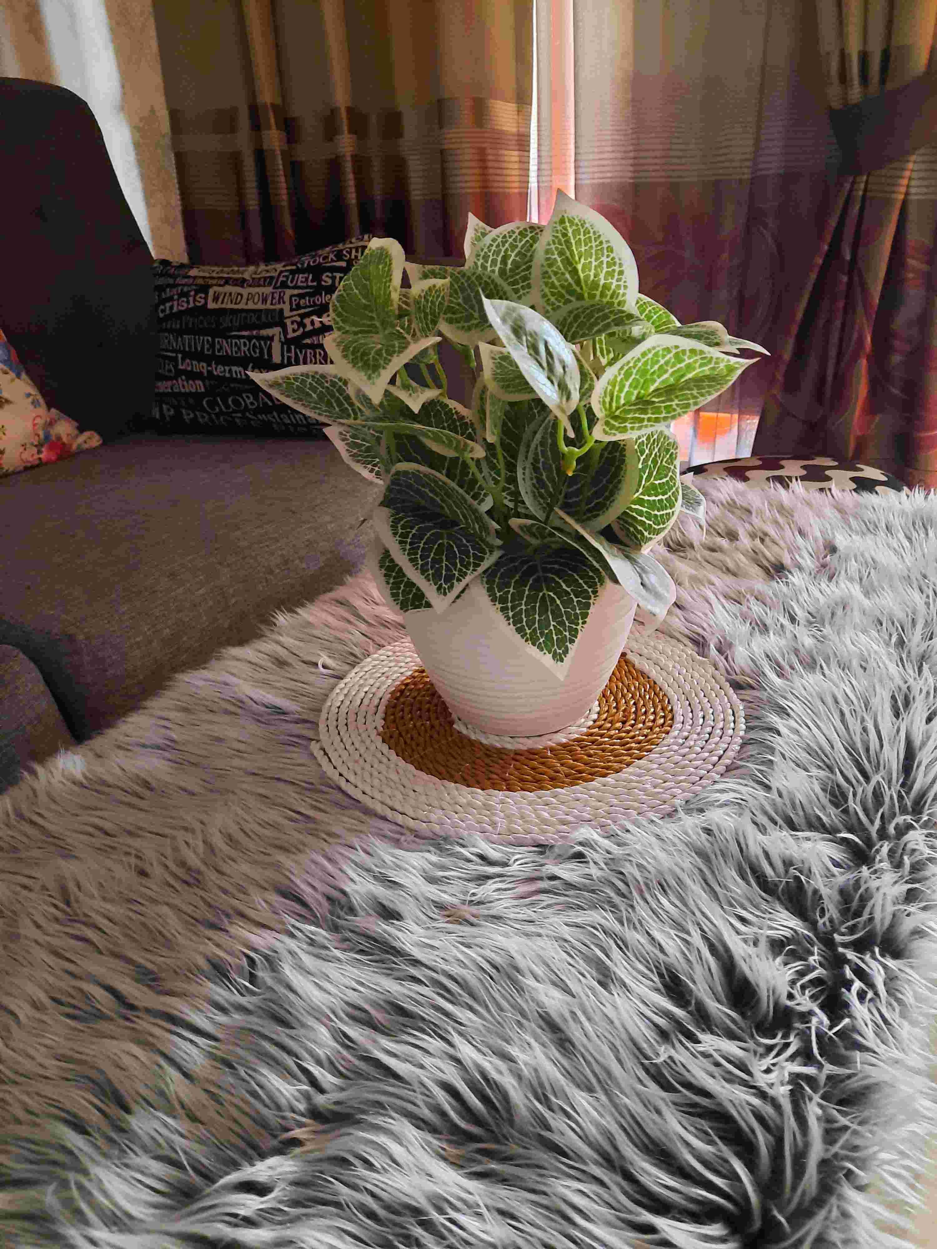 Placemat Seagrass/placemat/placemats