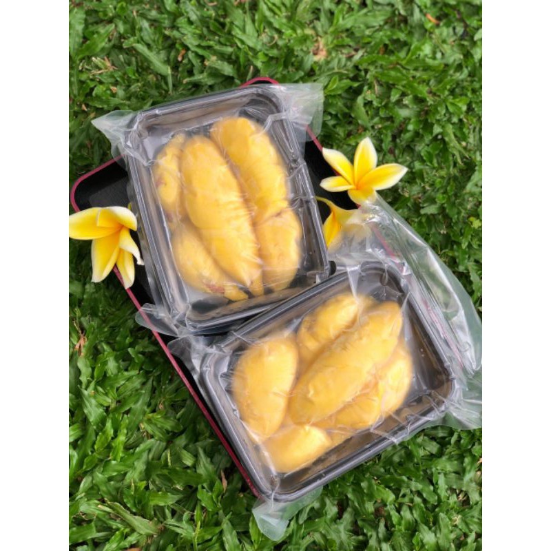 

Durian Musang King