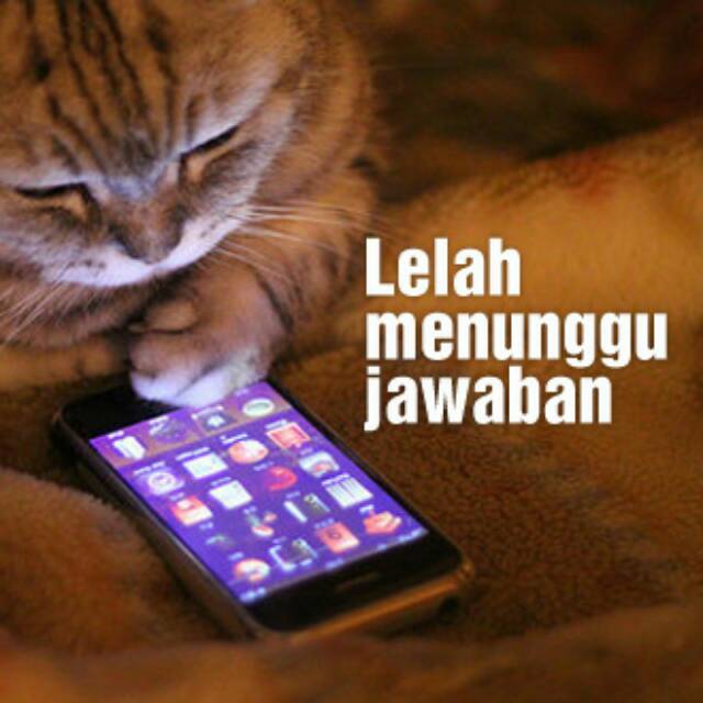 celinexwe_jutek
