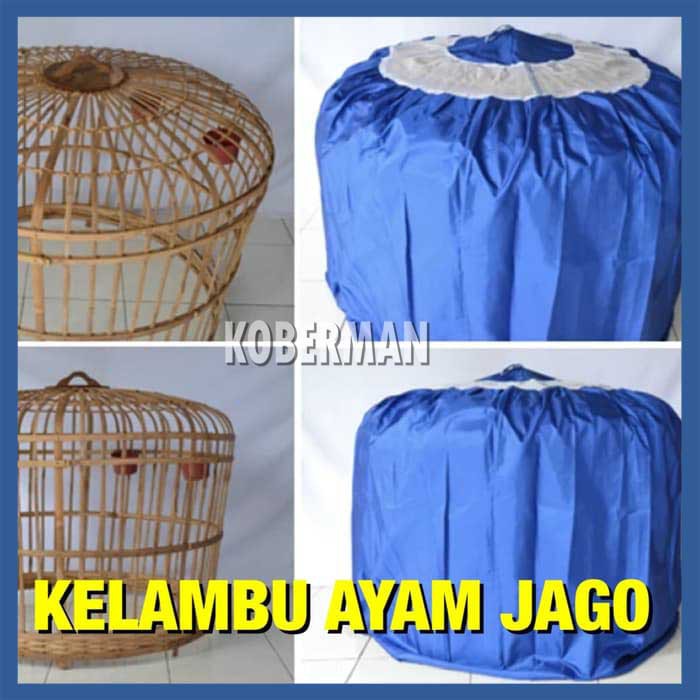 KELAMBU AYAM KERODONG KURUNGAN AYAM JAGO