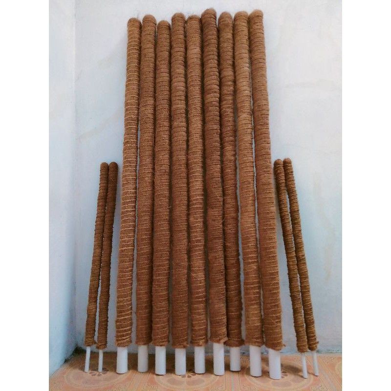 Tongkat Turus Rambatan Besar Murah Rambatan Vanily Penyangga Tanaman Vanily Media Rambatan