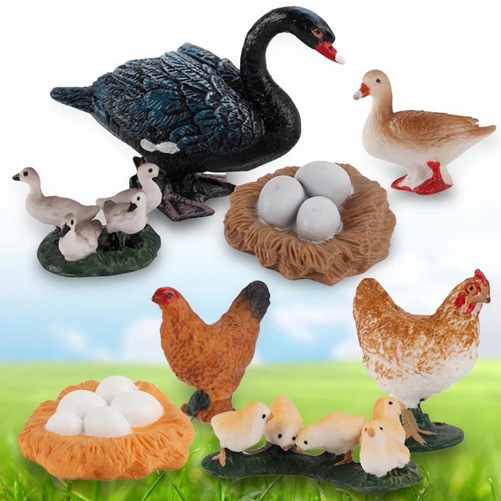 Quinton Life Cycle Figure Simulasi Ilmu Angsa Model Hen Cock Mainan Edukasi Cycle Bebek Figurine