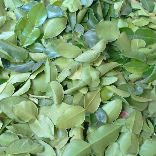 

Daun jeruk kering