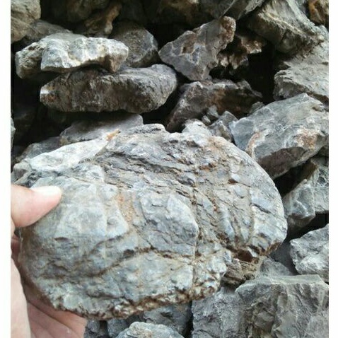 Batu Turly Truly Trily | Media Aquascape