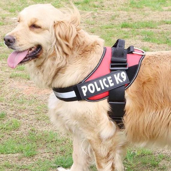 READY STOCK Harness Herness Police K9 / Harness Anjing Medium Dan Besar Murah