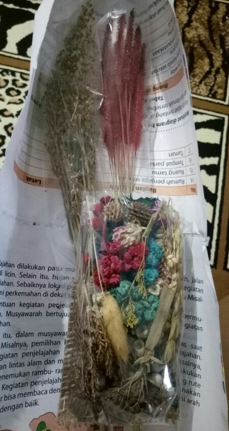 [15 Pcs] Oson-oson Kering | Dried Oson-oson