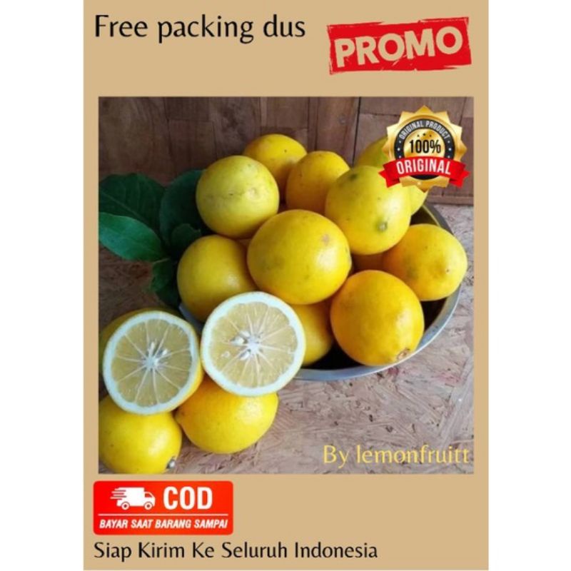 

[lemonfruitt] JERUK LEMON CALIFORNIA FRESH 1 KG