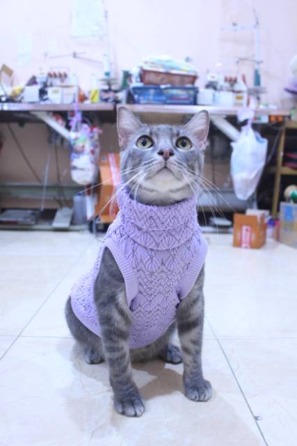 Baju rajut ala korea warna ungu untuk kucing dan anjing / baju kucing murah size S M L XL