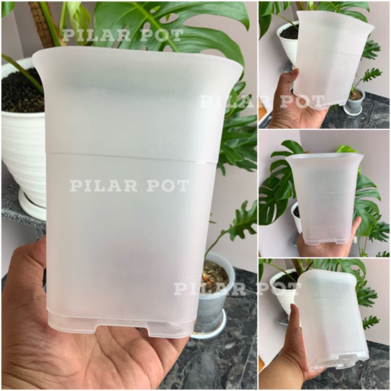 pot bunga tanaman nkt kotak bening transparan 10cm - nkt kotak 10