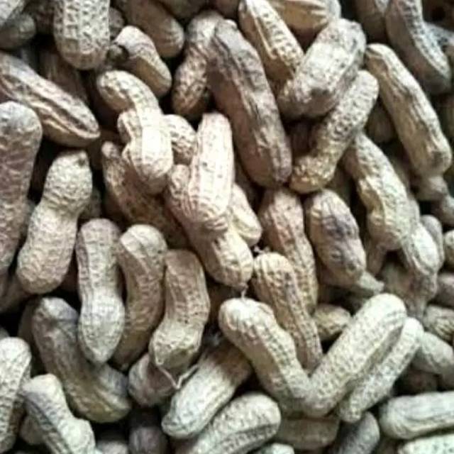 

1 kg kacang tanah kulit sangrai pasir/ kacang tanah kulit lokal/cemilan kacang enak renyah manis