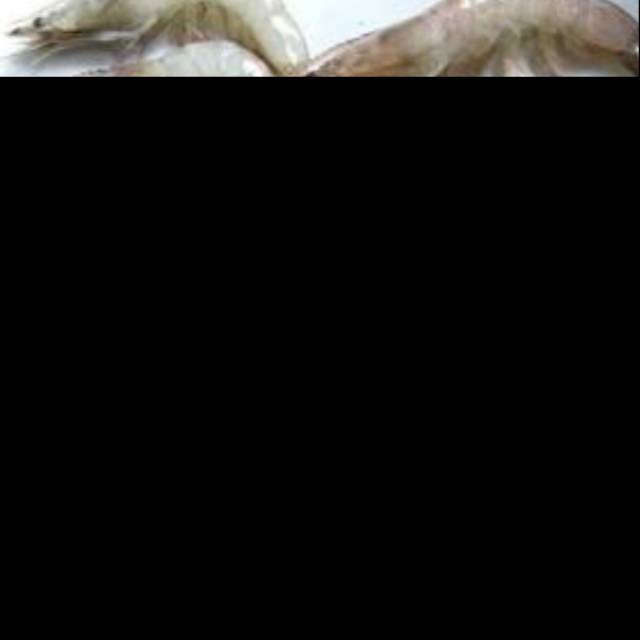

Udang vanamei