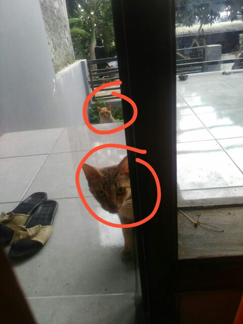 Klem Selang 3/4 Inch