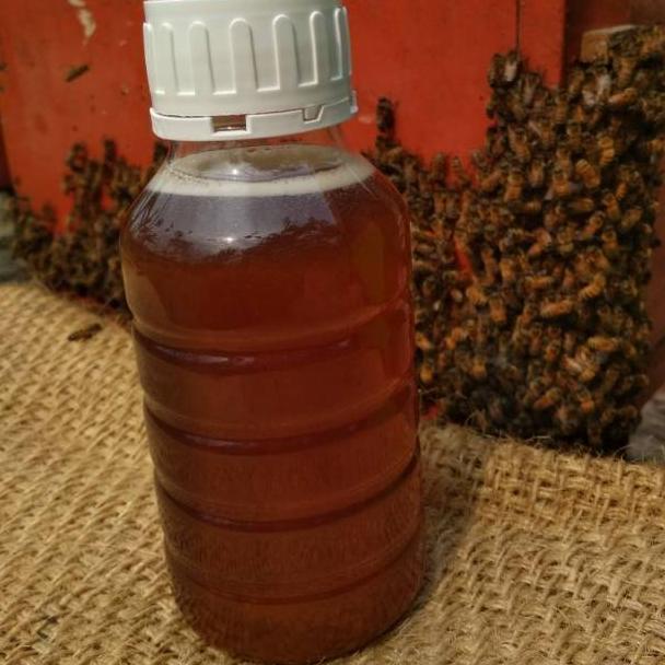 

ぅ Madu Murni Madu Pollen+Royal Jelly せ