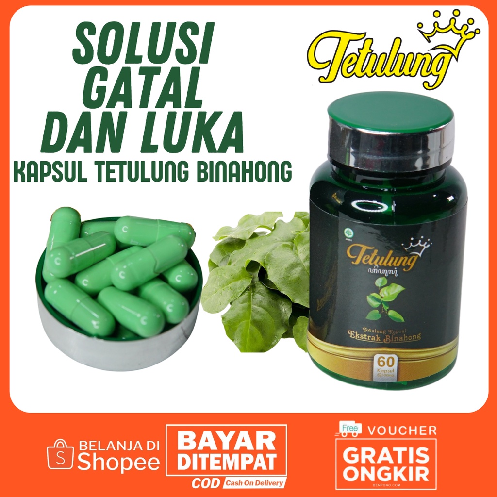 Kapsul Binahong - Obat Gatal Paling Ampuh - Obat Penghilang Bekas Luka - Kapsul Binahong Asli | Isi 