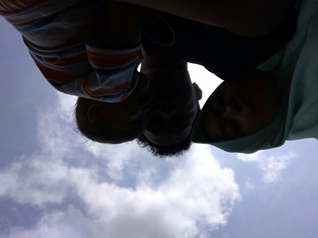 Golden Dragon Piring Mangga 12