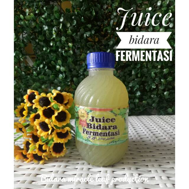 

Juice bidara fermentasi