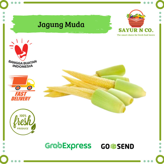 

Jagung Muda / Jagung Acar / Jagung Putren Segar | Sayur N Co Bekasi