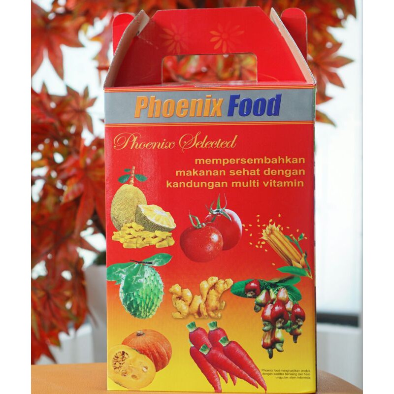 

Paket Phoenix Food isi 19 kotak