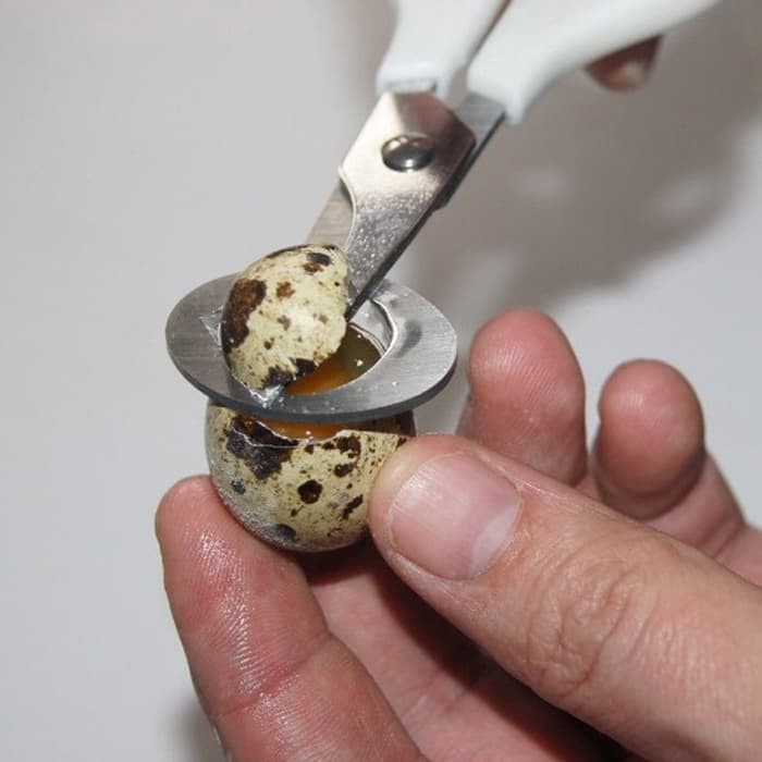 Quail Egg Scissor - Gunting Telur Puyuh