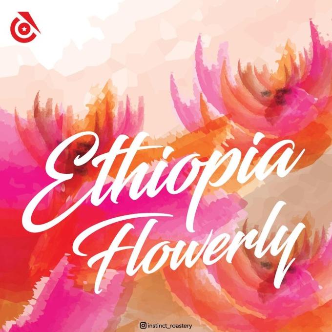 

[ COD ] Ethiopia Flowerly - Biji Kopi 200gr HEMAT Kode 865