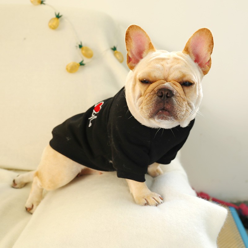 Pakaian Anjing Kucing Model Anjing Bulldog Untuk Musim Gugur