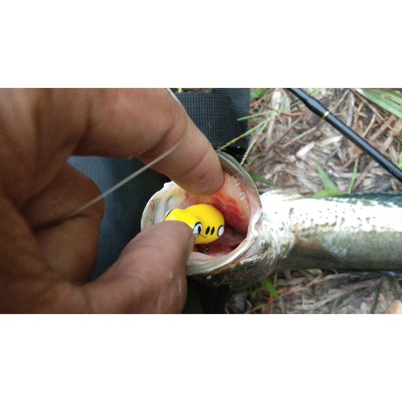 SOFT FROG MINI 2,7CM BINTANG LURE | UMPAN CASTING IKAN GABUS | SNAKEHEAD | UMPAN CASTING HARUAN