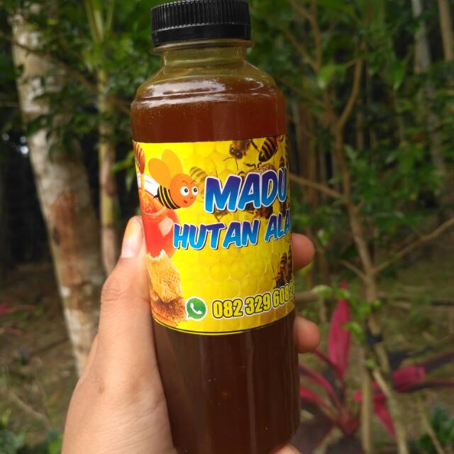 Madu hutan asli Kupang