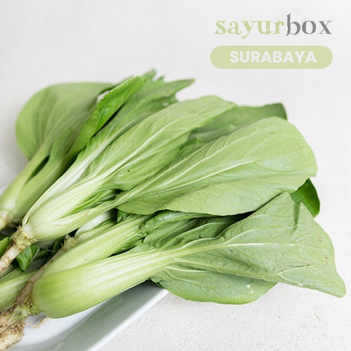 

Pak Choy Konvensional 250 gram (Sayurbox) - SURABAYA