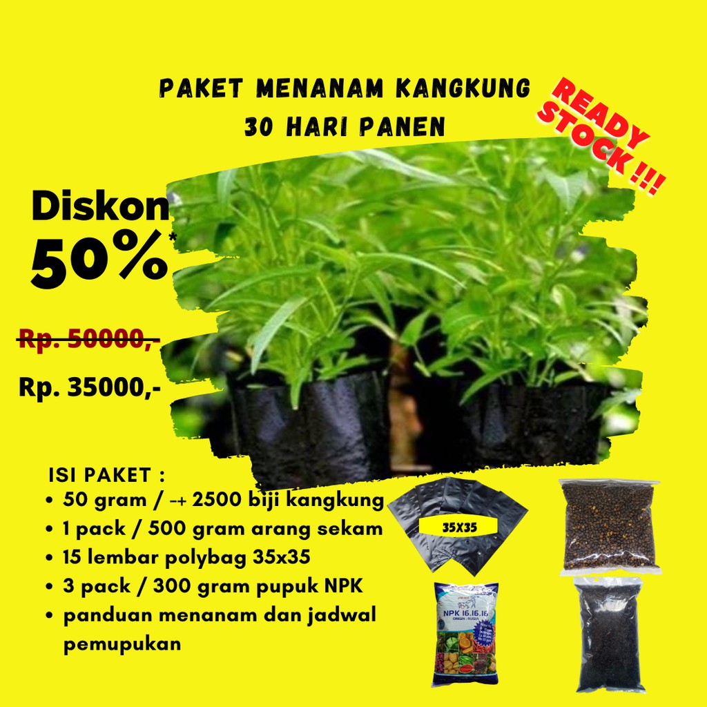 Jual BENIH BIJI KANGKUNG | PAKET MENANAM SAYURAN LENGKAP DENGAN POLIBAG ...