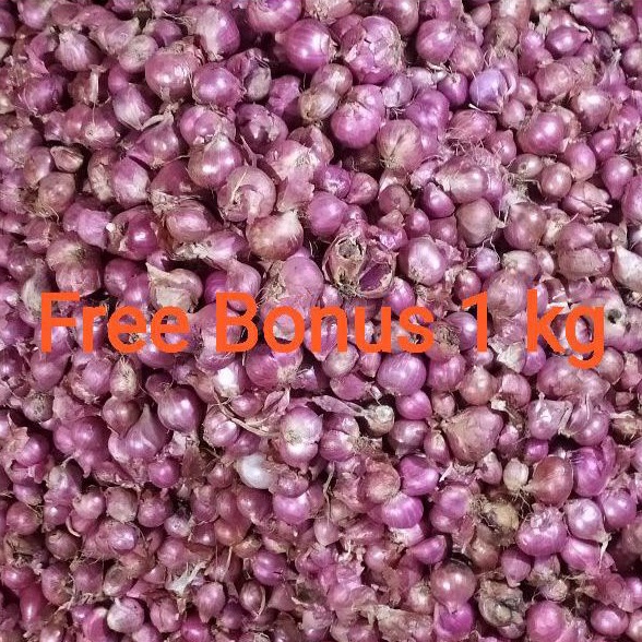 

Bawang Merah Brebes Kecil 500g + Gratis Bonus