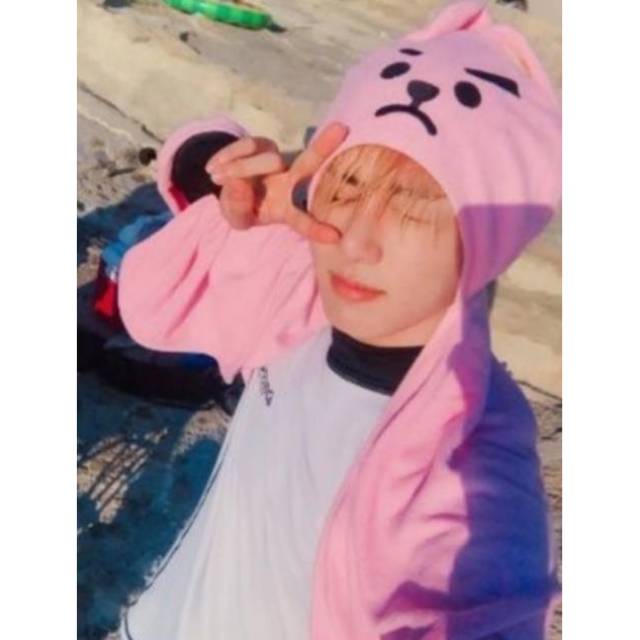 Bantal bt21 towel cooky official