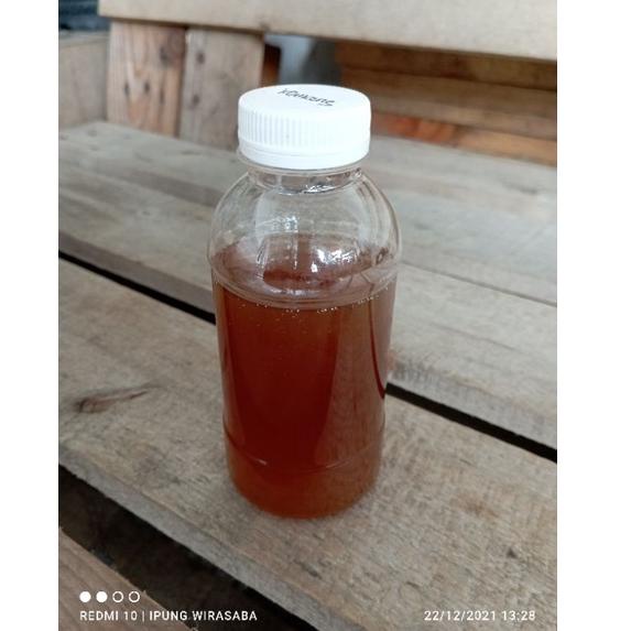 

V-OZI> ✪> MADU Lanceng, Klanceng, Kelanceng, Trigona, Kelulut Murni 100% Liar Asli Bukan Ternak Tanpa Campuran |trending>
