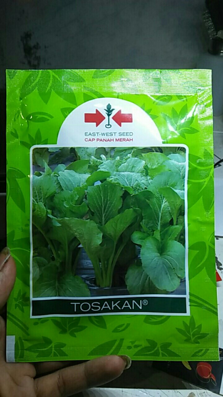Benih Sawi Hijau Caisim - Tosakan - 25 Gr - Cap Panah Merah / Bibit Hijau Ijo Cesim Dakota Shinta