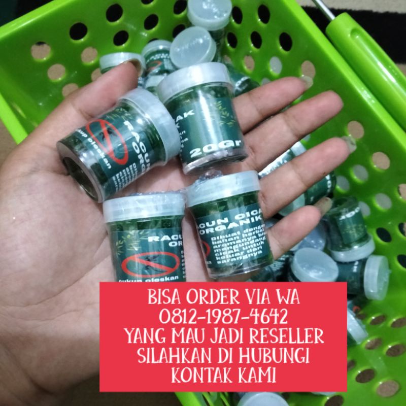 GROSIR CICAK HERBAL AMPUH 1000% CICAK MATI KERING