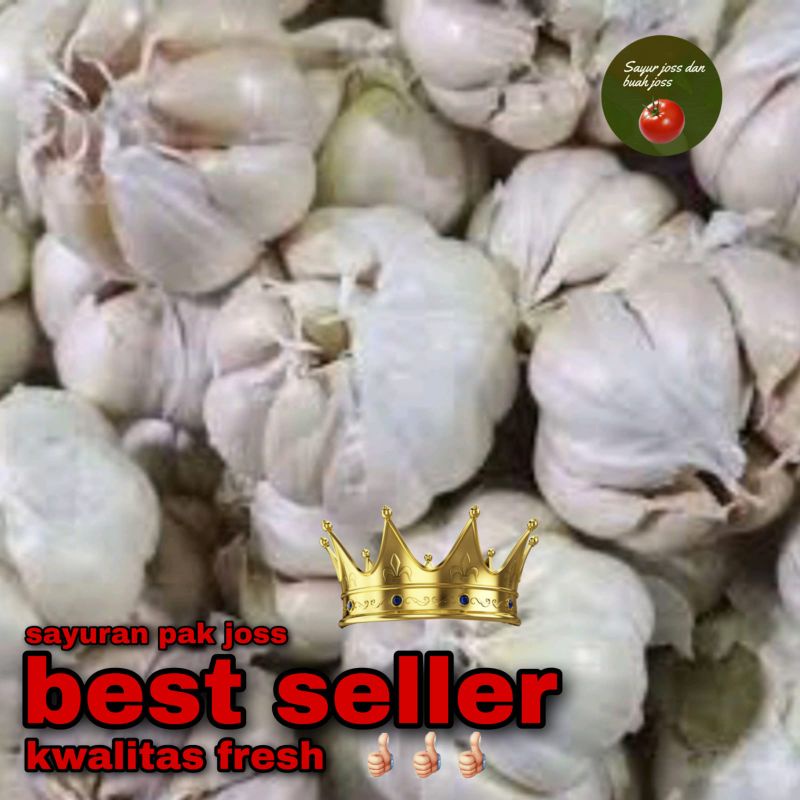 

bawang putih reguler 100gr