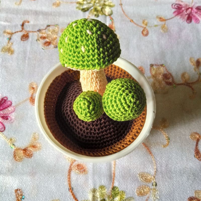 

Jamur rajut mini