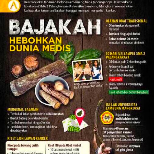 

BAJAKAH 500 gram (ASLI, BISA COD) Kayu akar kering siap konsumsi bajakah kalalawit tampala kanker