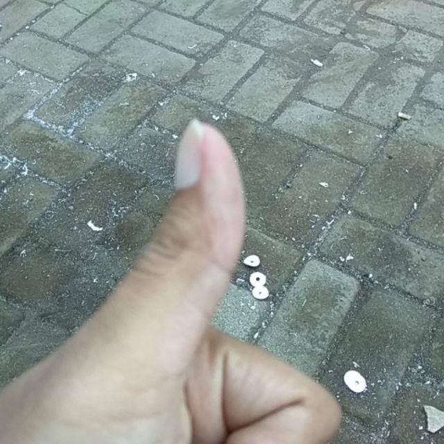 Selang Pe 7 Mm ( 100 Meter )