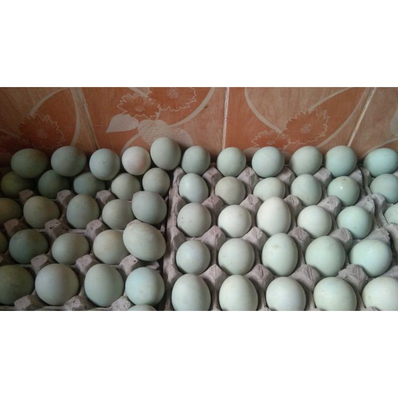 

Telur Asin enak