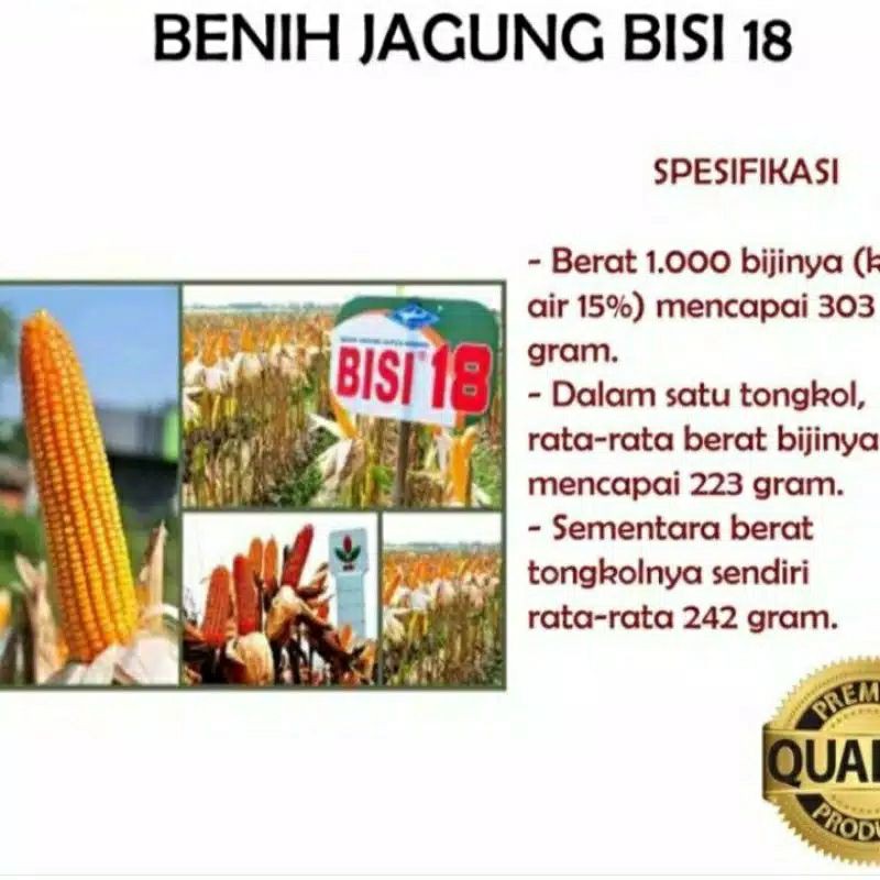 benih jagung bisi 18 original