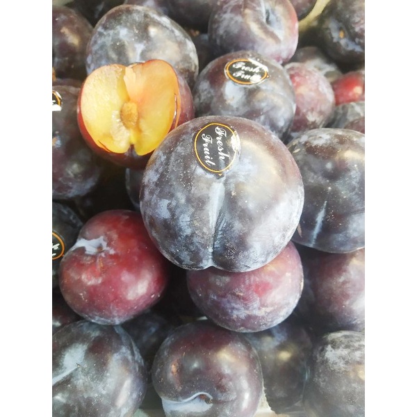

Plum merah red plum buah