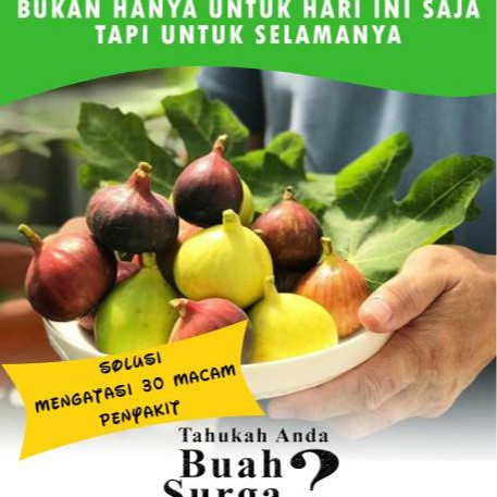 

buah tin 1kg