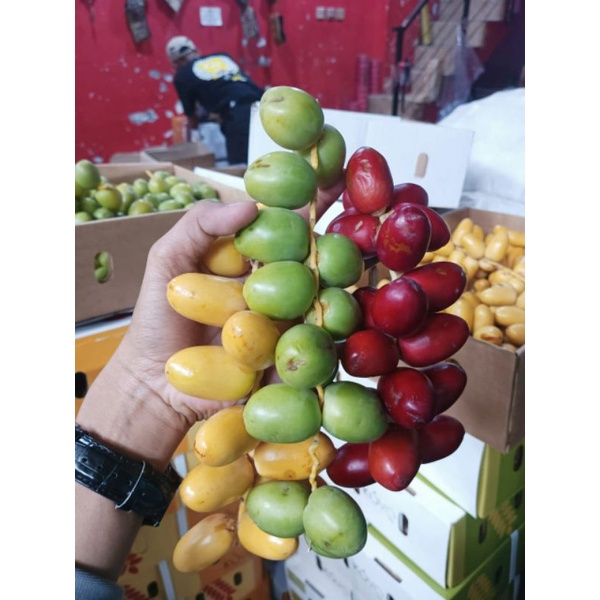 

kurma muda fresh
