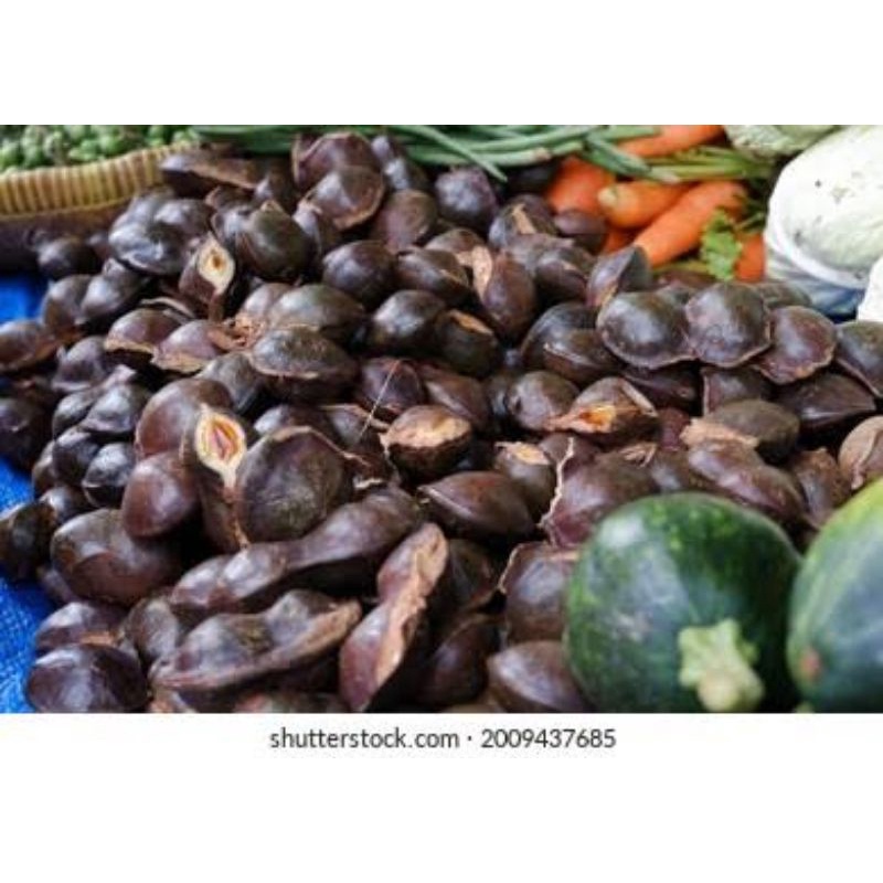 

Jengkol Kupas Murah 1 kg