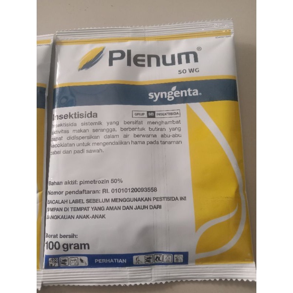plenum