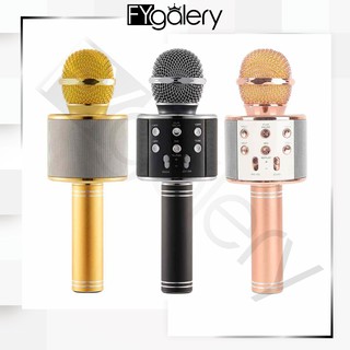 Newstyle WS1816 Mic Smule Microphone Karaoke Speaker
