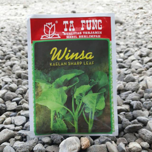 Benih Bibit Biji Kailan WINSA isi (20gr)