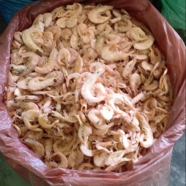 

Udang manis ( 250 gram )